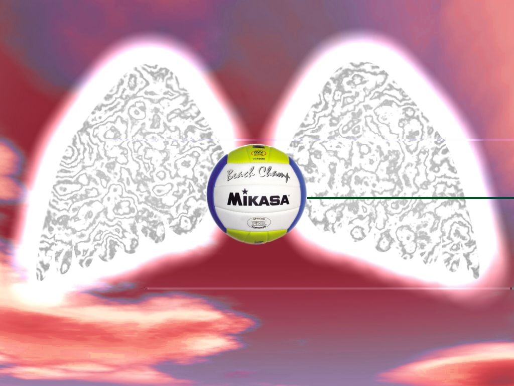 Mikasa verleiht Flügel
